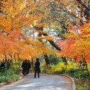 금강공원2 이미지