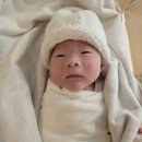 예울병원 | 12.출산 그 후 첫번째.(예울병원후기)