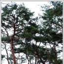 화랑로 이미지