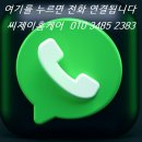 꽈배기진 김제신풍점
