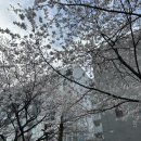 40평대 오피스텔 인테리어 | 세탁실 확장, 화장실 수리 | 상담 및 견적 (1)