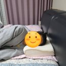 디자인콩나물 | 수면 퀄리티 바뀐 프리미엄베개｜콩나물베개 사용후기 공개!