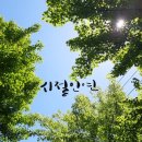 시절 인연 이미지