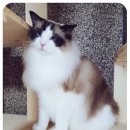여우커뮤니케이션