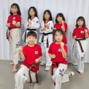 도화 태권도 이미지