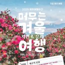 제주 겨울여행주간 ‘2025 지금, 제주여행’ 21일 시작 이미지