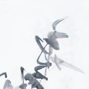 요산정(樂山亭) | [自作 文人畵] 묵죽(墨竹) 죽시