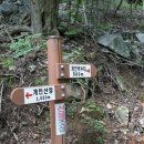 멍펜션9 이미지