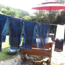 산에는 꽃이피네민박 이미지