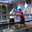 고릴라GYM 이미지