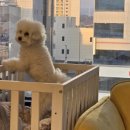 코코앤몽 이미지