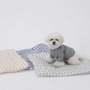 쿨 퍼피 이미지