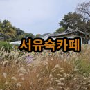 금잔디상회 | 충주카페 한적하고 조용한 시골풍경을 다 가진 &#39;서유숙카페&#39;리뷰 서유숙펜션