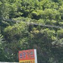 보광 | 강릉 계곡 맛집 보광가든 후기 14개월 아기와 백숙 먹방