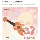 우리두리약국 | [37주] 출산 준비 기록