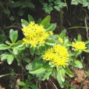 기린초등학교 이미지