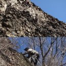 자연산약초마을 이미지