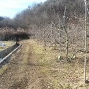 현서면사무소 이미지