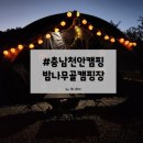 밤나무골 | 할로윈캠핑 천안 밤나무골 캠핑장 리뉴얼 B사이트 1박후기