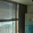 양지-3575 이미지