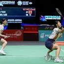 세계로체육관 엑스포츠뉴스