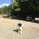 밤골 펜션 이미지