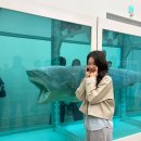 화정그린약국 | 국립현대미술관 서울관 데미안허스 전시 - 알고 가면 더 재미있는 전시 + 아이와 함께 볼 때