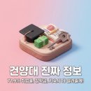 교육연구시설(배재대학교 기숙사) | 건양다경 신입생 77.9% 취업률, 기숙사·장학금 솔직 후기 폭로!