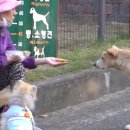 내장농장 이미지