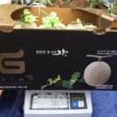 요제농장 이미지