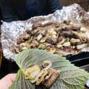 대왕곰장어 이미지