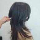 여성 헤어 커트 이미지