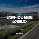 농업회사법인(주)온누리 이미지