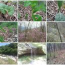 산전농장 이미지