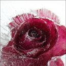 심상의 풍경 이미지