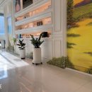 메디언스 이미지