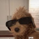 예
