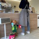 고객님 후기 사진