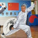 태극권 이미지