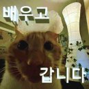 세움전기(주) | 11월이라는게 가슴에 풍자가 앉은 것 같이 답답함