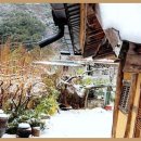 지리산둥이네