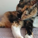 우리그루밍 이미지