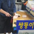 쌍둥이상회
