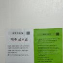 크럭스 | 성남 락페이스 클라이밍 강습후기 삼지점방식과 크럭스 도전! 직장인 취미활동 추천