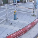 주정차65 이미지