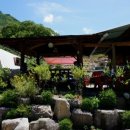 배꼽장승 이미지