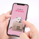 펫프렌즈 이미지