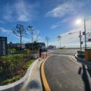 해송피크닉장 이미지