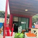 난호목장 | [남해여행] 아기와 함께가기 좋은 "남해양떼목장 양마르뜨언덕"