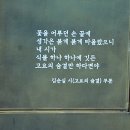 김순실「고요의 숨결 이미지